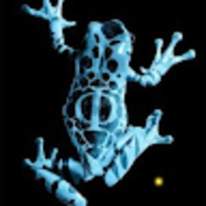 Meet your Posher, Kristin